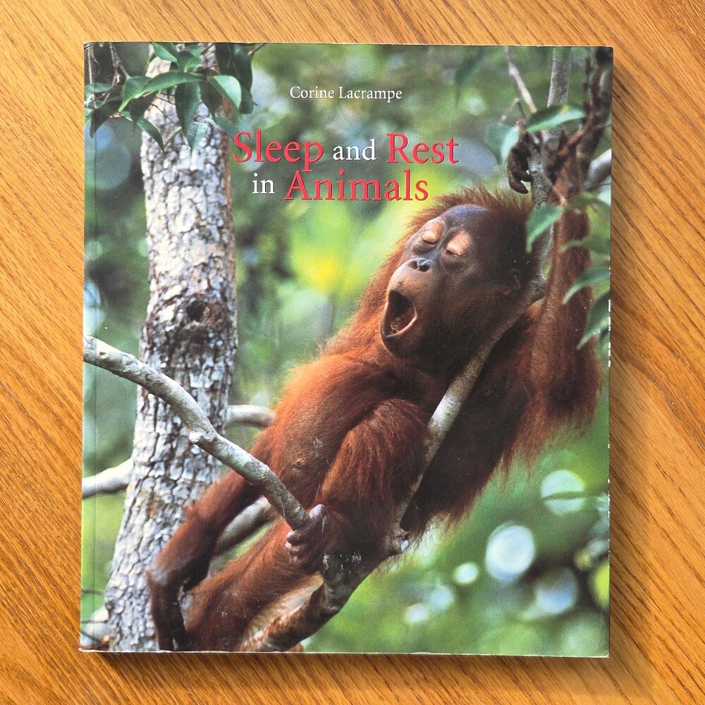 Sleep and Rest in Animals Book by Corine Lacrampe